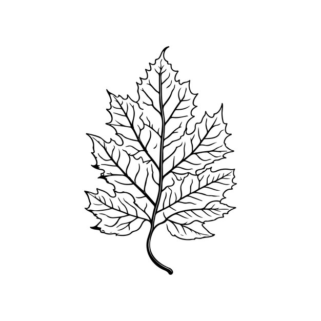 Vettore autunno icona disegno a mano colore nero giorno di ringraziamento logo elemento vettoriale e simbolo