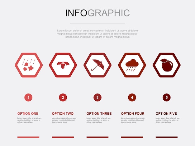 Осенние иконки Шаблон инфографического дизайна Креативная концепция с 5 вариантами