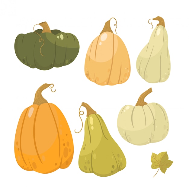 Autumn   illustration pumpkins.