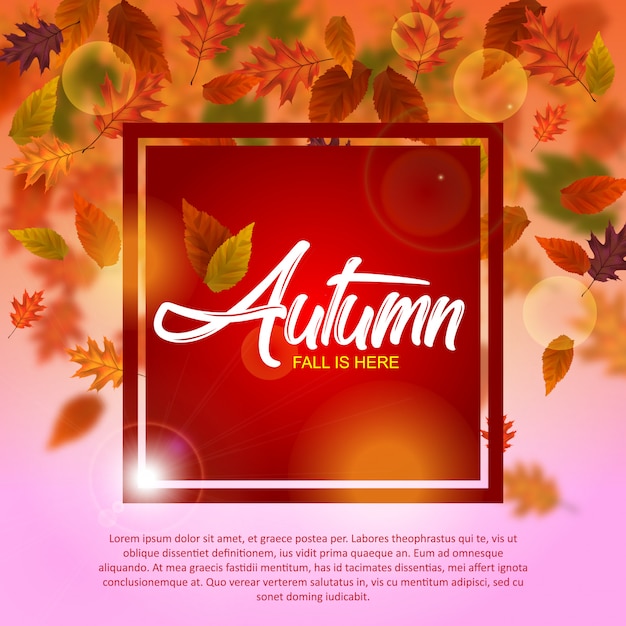 Autumn illustration template