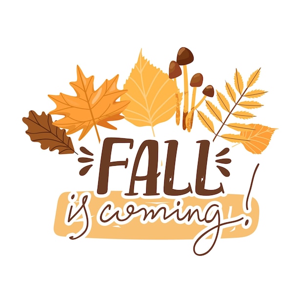 Vector autumn illustration typography slogan design fall is coming