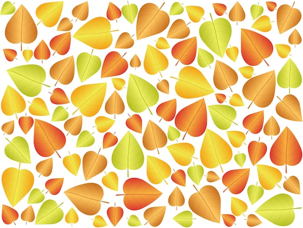 Autumn leaf background 3