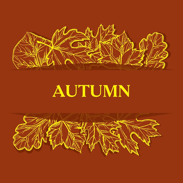 Vector autumn leaf background