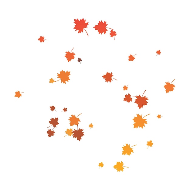 Autumn leaf background