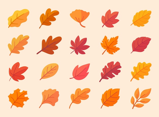 オータム リーフ コレクション 秋のシンプルなデザインのオレンジ色のカエデの葉