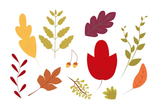 Collezione di foglie autunnali natura piatta vettoriale stampa artistica autunnale poster per le vacanze autunnali