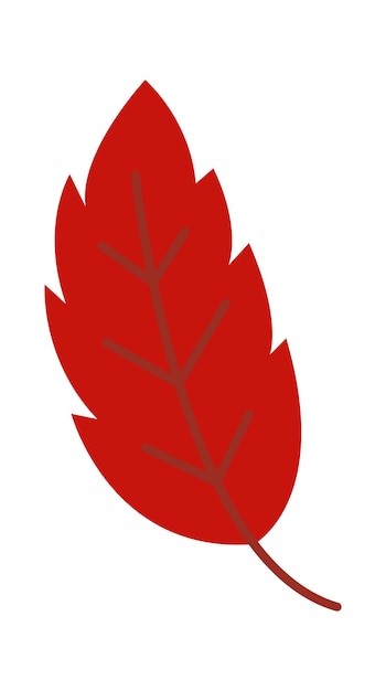 Autumn leaf fall plant icon vector illustration