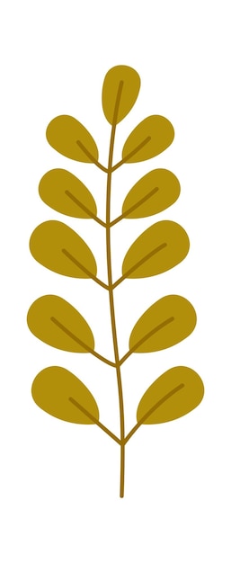 Autumn Leaf Fall Plant icon Vector illustration