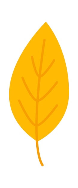 Vector autumn leaf fall plant icon vector illustration