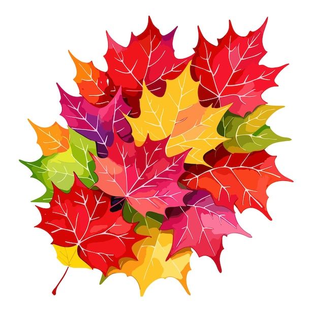 autumn leaf floral illustration