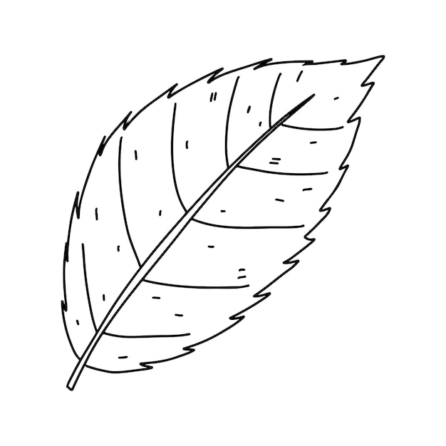 Vettore foglia d'autunno disegnata a mano in stile doodle illustrazione vettoriale isolata su bianco pagina da colorare