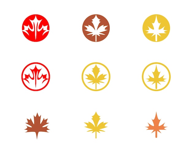 Vector autumn leaf logo vector icons