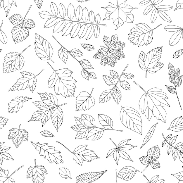 Осенний лист бесшовный узор Черно-белый отпечаток листьев дерева
