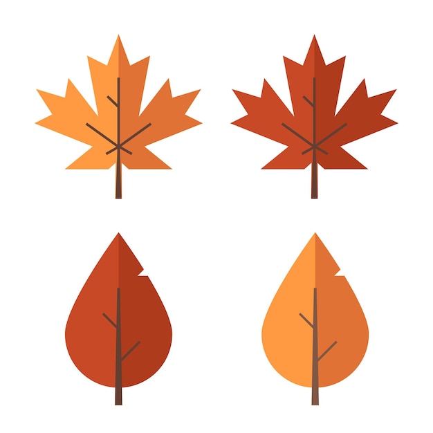 Autumn leaf set Red and orange fallen autumn leaves Maple and birch vector leaf isolated on white background