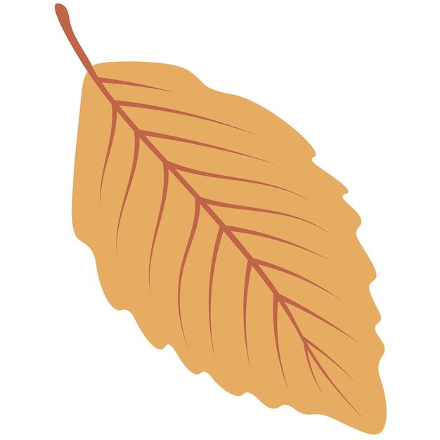 Autumn leaf vector graphic