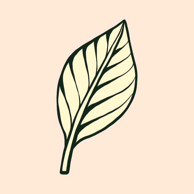 autumn leaf vector illustration