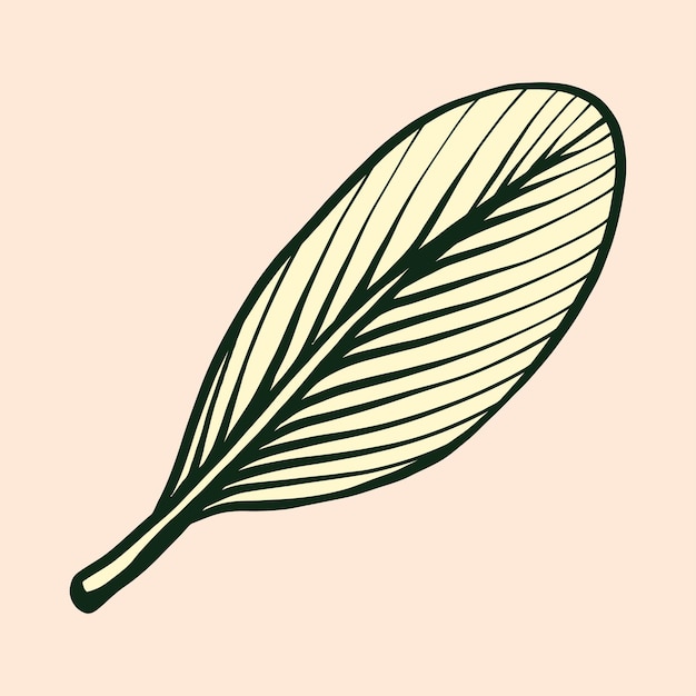 Vector autumn leaf vector illustration