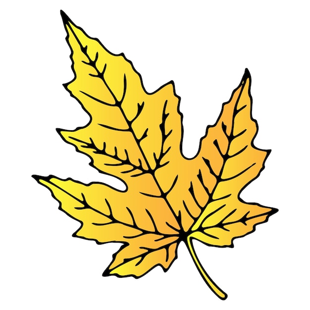 Vector autumn leaf vector, simple doodle leaf