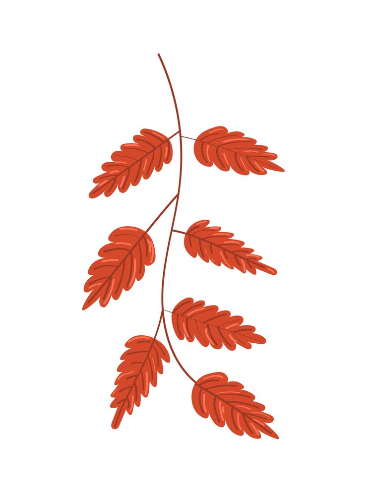 Vector autumn leaf on white background. vector illustration