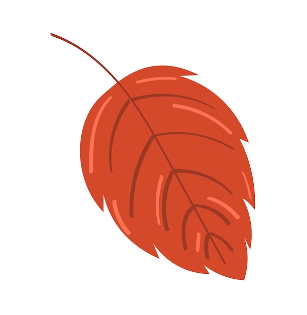 Autumn leaf on white background. vector illustration