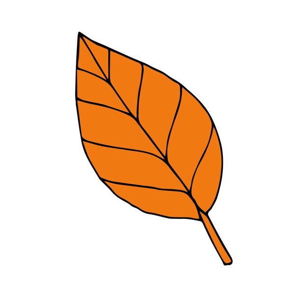 Autumn leaf