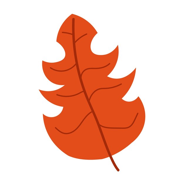 Vector autumn leaf