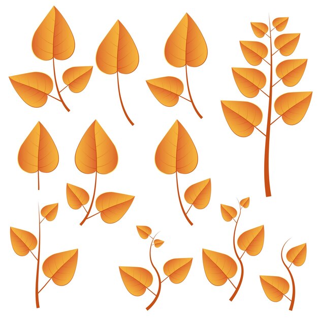 Vector autumn leafs set