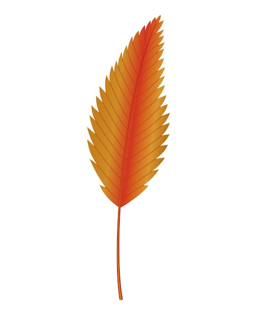 秋の休暇 水彩テクスチャ ベクトル イラスト分離されたデザイン要素の木の葉とシンボル 季節のグリーティング カードのデザインを残す