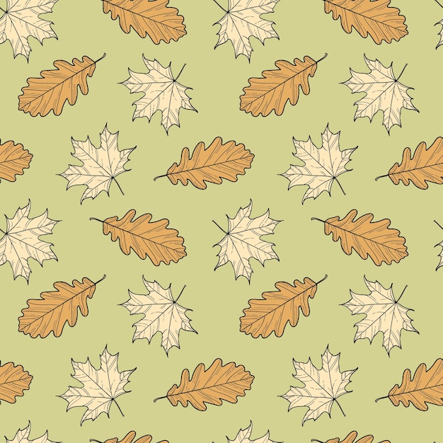 Vector autumn leaves acorn and maple leaves vector pattern