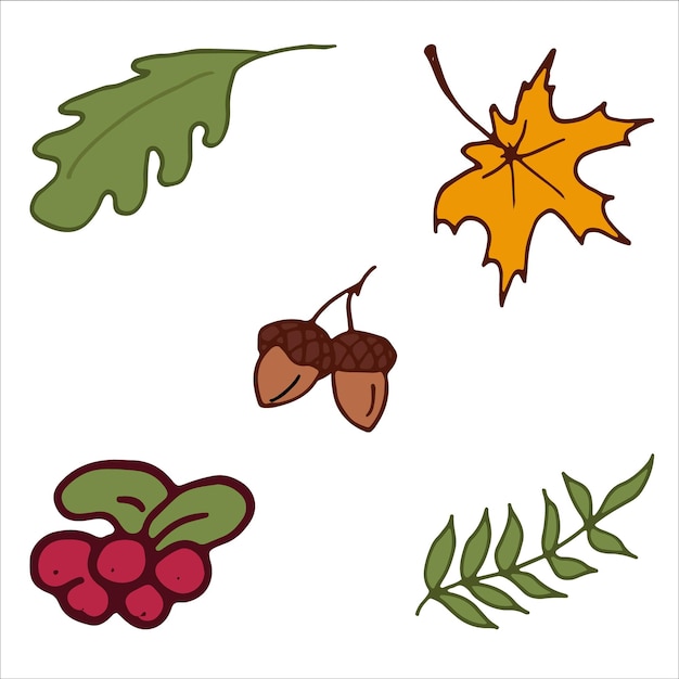 Autumn leaves acorns berries Icons stickers Isolated Vector Illustration