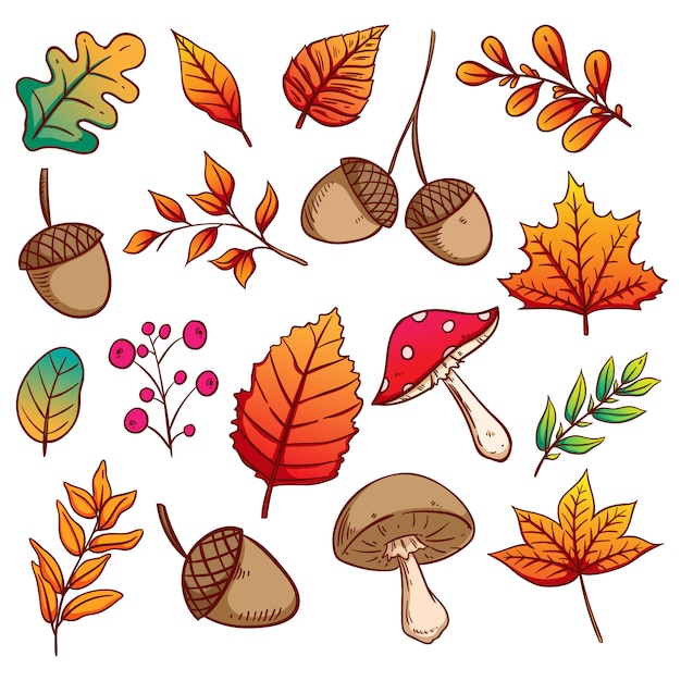 Autumn Leaves, Acorns and Mushrooms Set With Colorful Hand Drawn Style