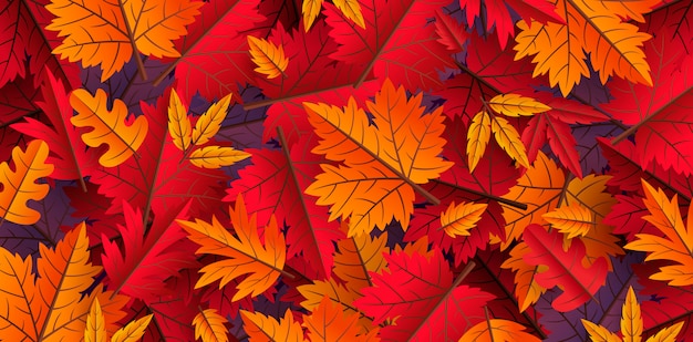 Vector autumn leaves background design