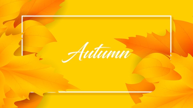 Autumn leaves background premium vector