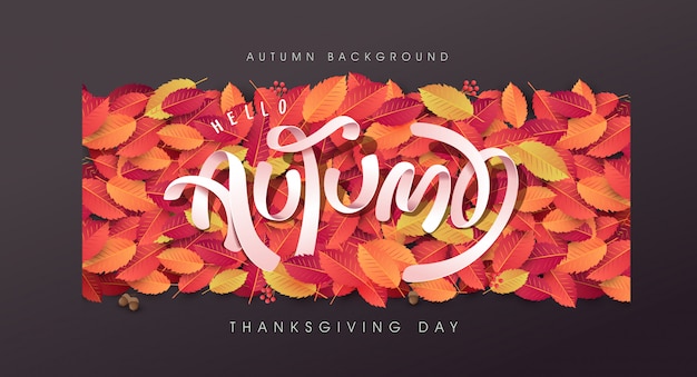 Autumn leaves background. thanksgiving day