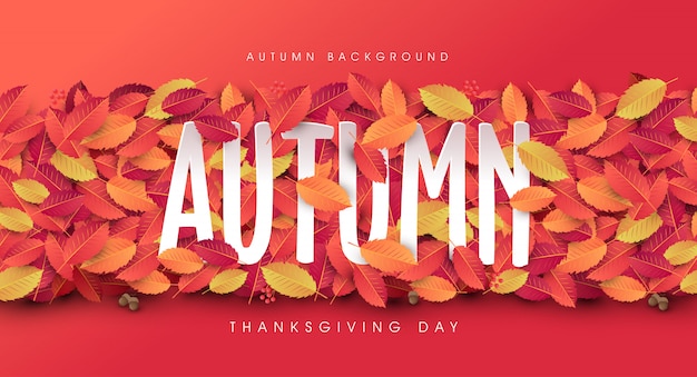 Vector autumn leaves background. thanksgiving day
