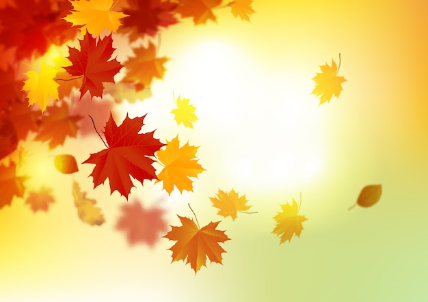 Premium Vector | Autumn background with golden maple and oak leaves