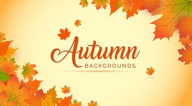 Autumn leaves Background