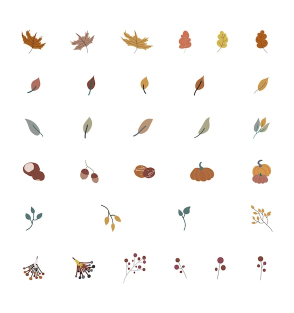 Premium Vector | Autumn leaves and berries collection vector illustration