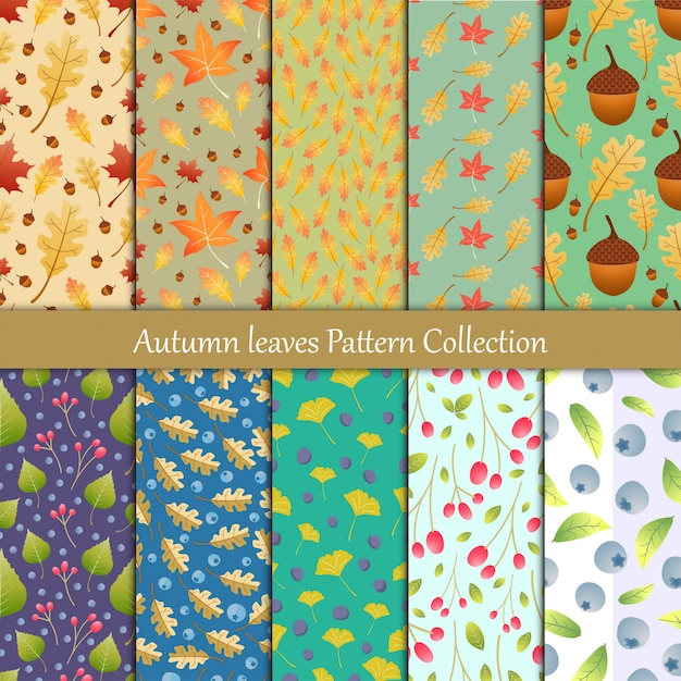 Autumn leaves and berry seamless pattern collection