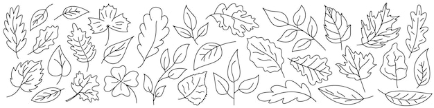 Autumn leaves Black linear leaves Vector illustration