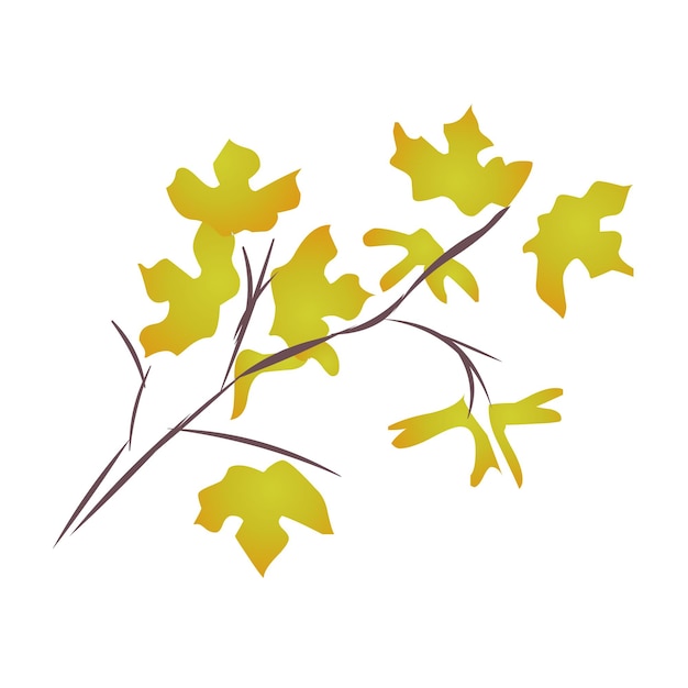 Autumn leaves on branch isolated illustration