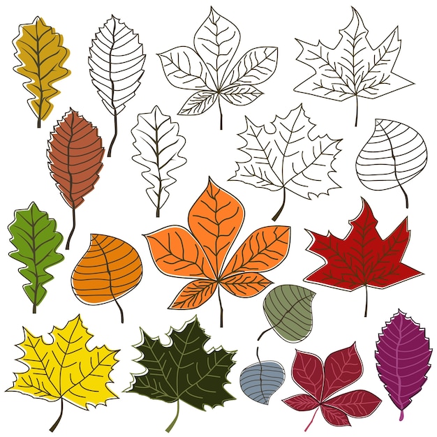 Autumn leaves bush collection set