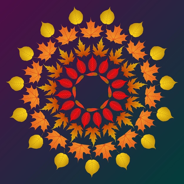 Autumn leaves in circular artform premium vector illustration