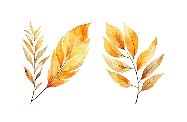 Autumn leaves clipart geïsoleerde vector illustratie