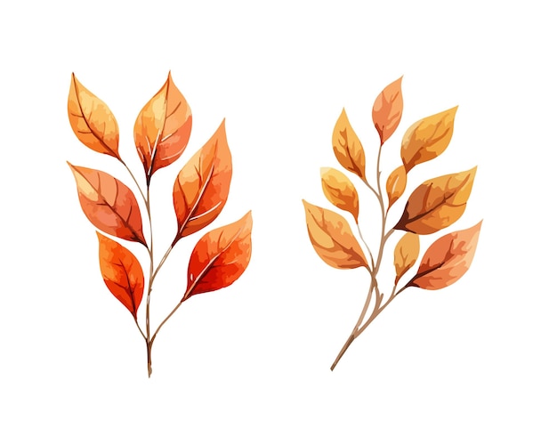 Autumn leaves clipart geïsoleerde vector illustratie