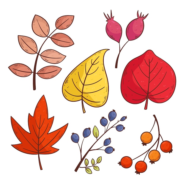 Vector autumn leaves collection