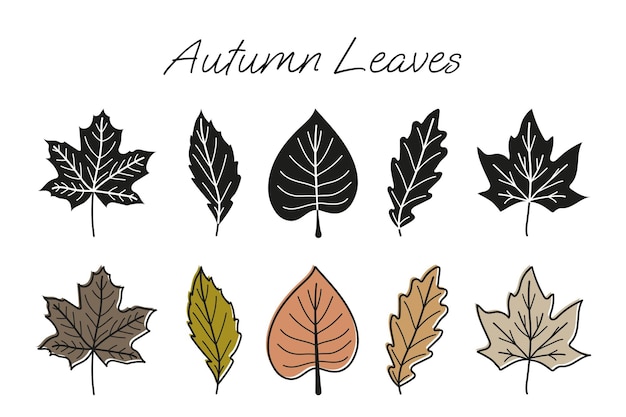 Vettore autumn leaves vector pack