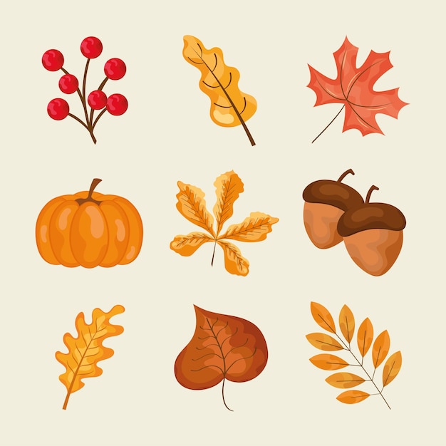 Vector autumn leaves design