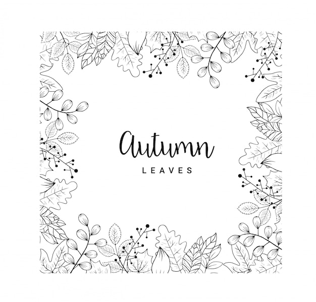 Vector autumn leaves doodle line art around square vector