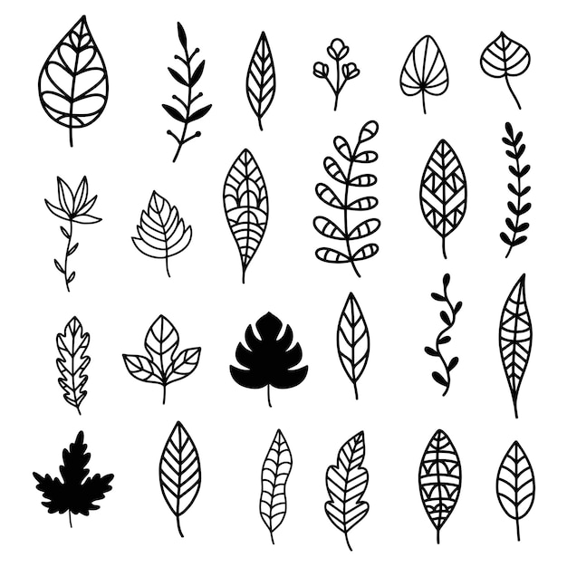 Autumn leaves doodle set hand drawn vector fall forest foliage design elements isolated on white